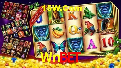 Wnbet Rio de Janeiro - Slot Strategy