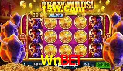 Wnbet Salvador - Football